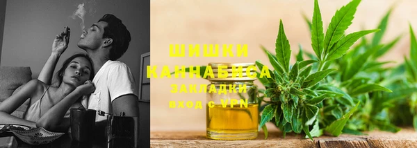 прущие грибы Верхний Тагил