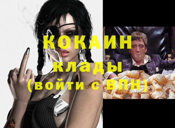 прущие грибы Верхний Тагил