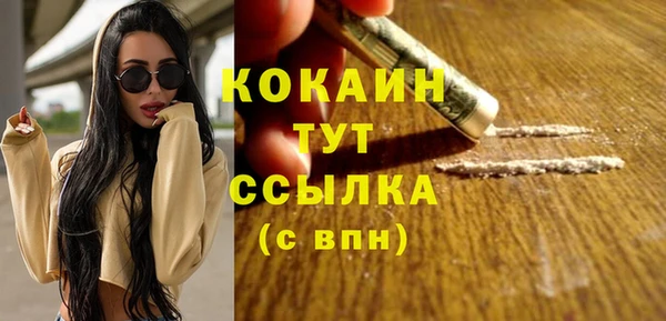 прущие грибы Верхний Тагил